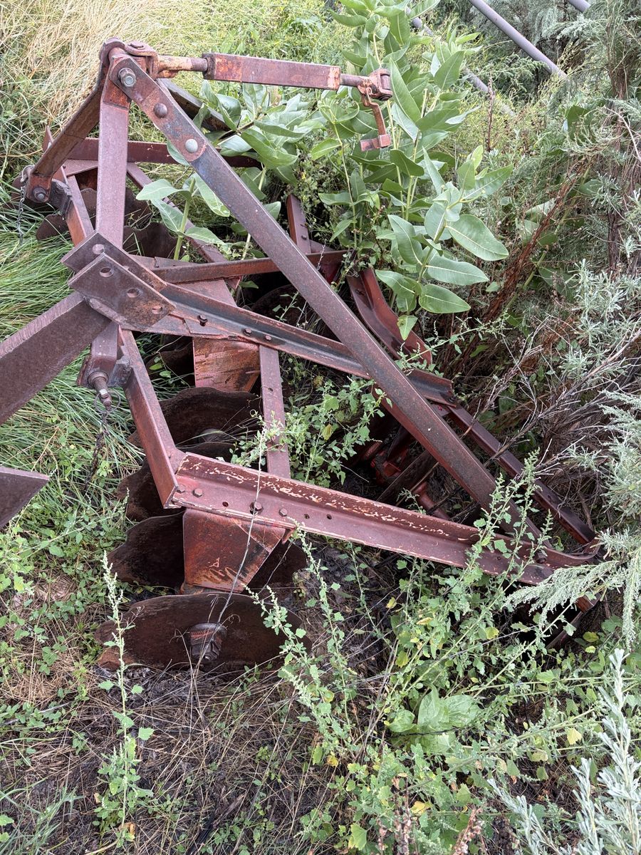 Main image 2