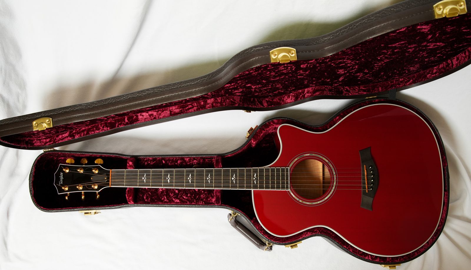 Taylor Guitars 614c
