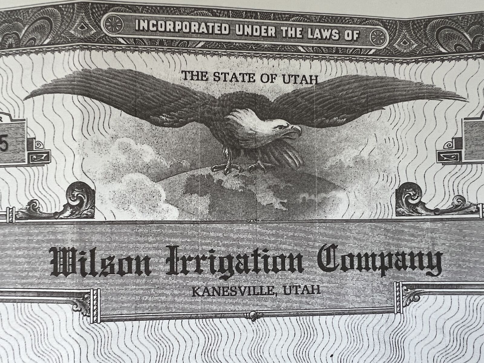 Wanted Wilson Water Share