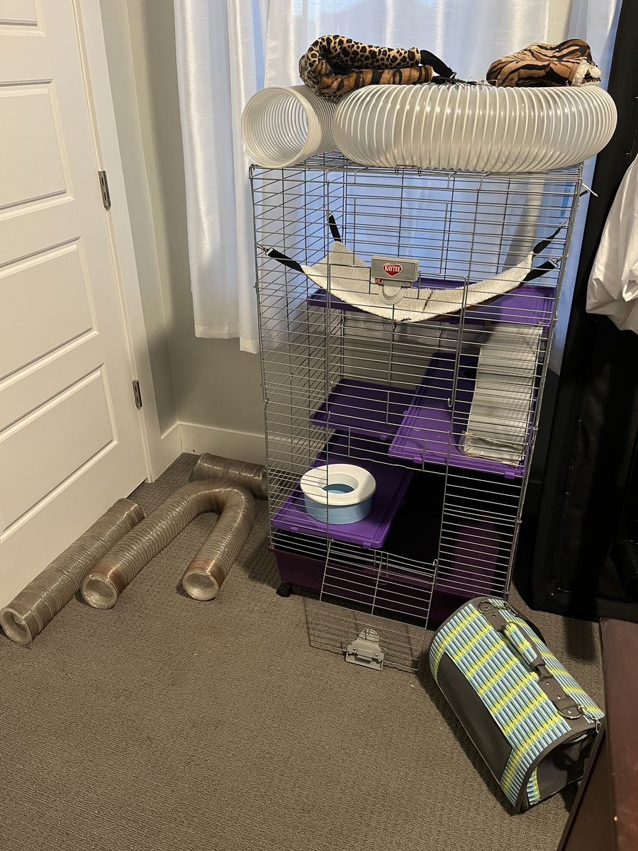 Lg Ferret Nation Cage Plus SSSOOO MUCH MORE
