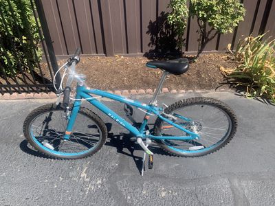 Raleigh 24 Inch Lily Girls Bike