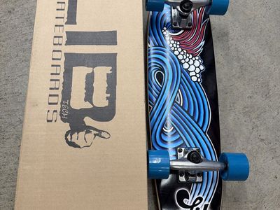 Uber rare Lib Tech Jamie Lynn cruiser Skateboard