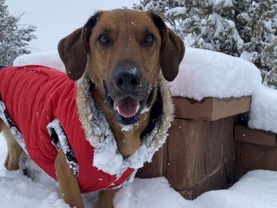 Hello my name is Chad