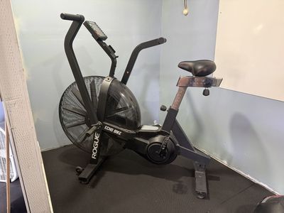 Rogue Echo Assault Bike - Upright, Belt Resistance Exercise Bike
