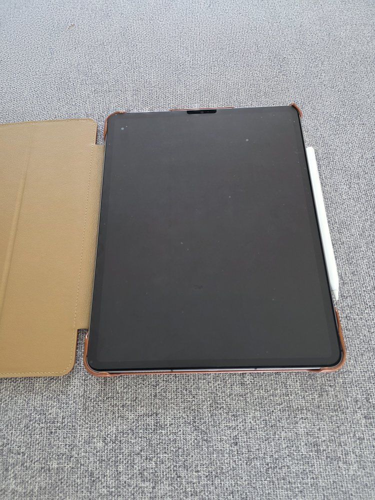 iPad Pro 12.9" 5th Gen (M1) — 128GB, WiFi + Cellular — $600 OBO