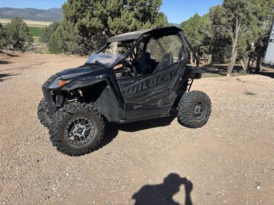 2017 Wildcat