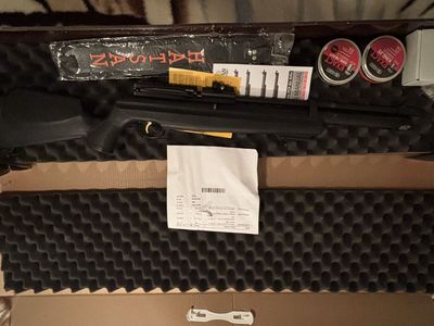 Hatsan Air Rifle .25