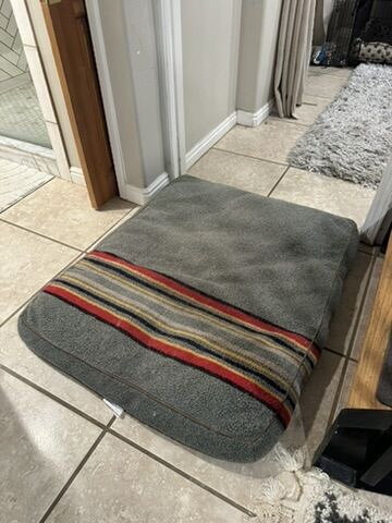 Pendleton-style dog bed