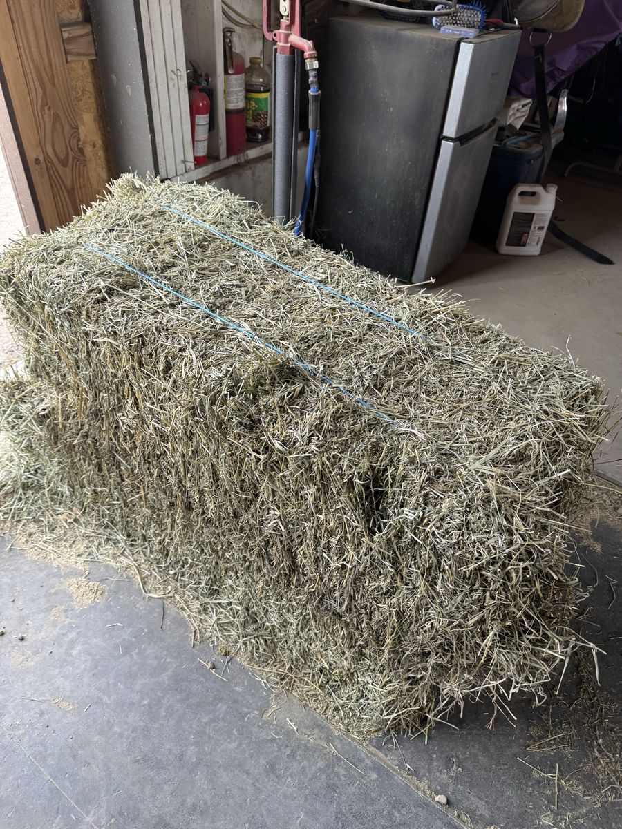 10 bales of cow hay