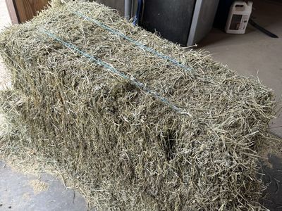 10 bales of cow hay
