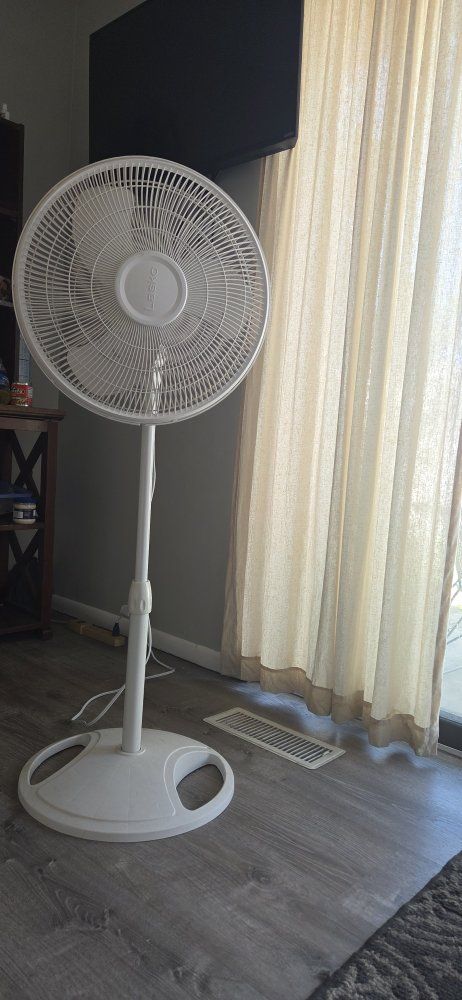Fan