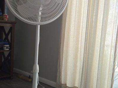 Fan
