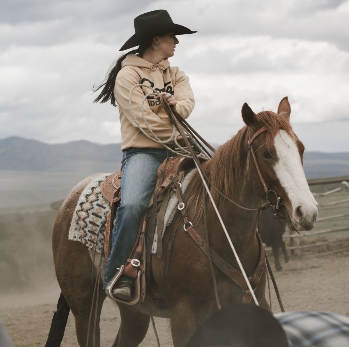 2023 AQHA mare