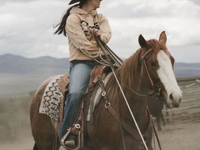 2023 AQHA mare