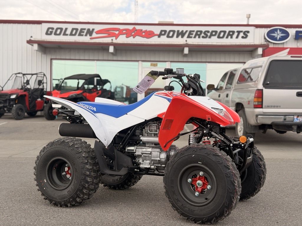 2026 Honda® TRX250X