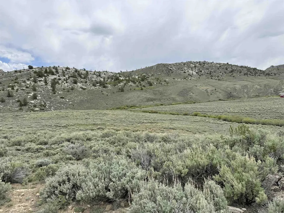 Main image 9