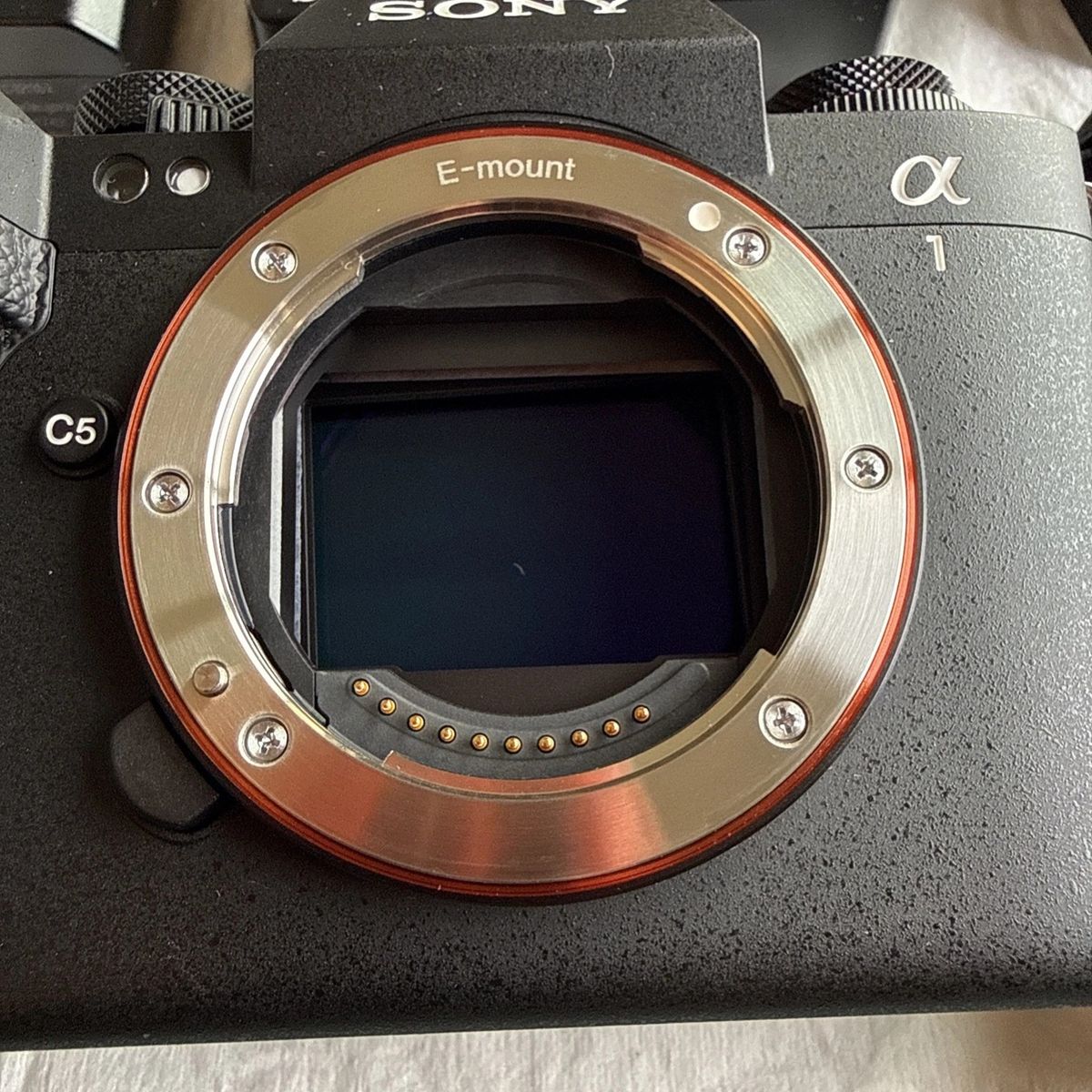 Main image 5