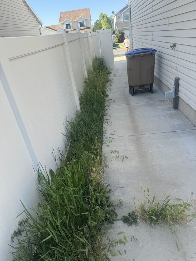 Weeds Remove Yard Clean Up Mowing Great Prices