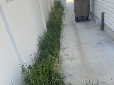 Weeds Remove Yard Clean Up Mowing Great Prices