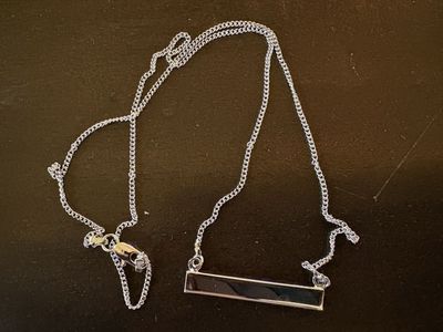 New Silver Tone Necklace w/ Rectangle Bar