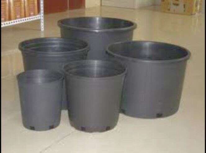 plant pots 1 - 25 gallon big sizes to grow tomatoes