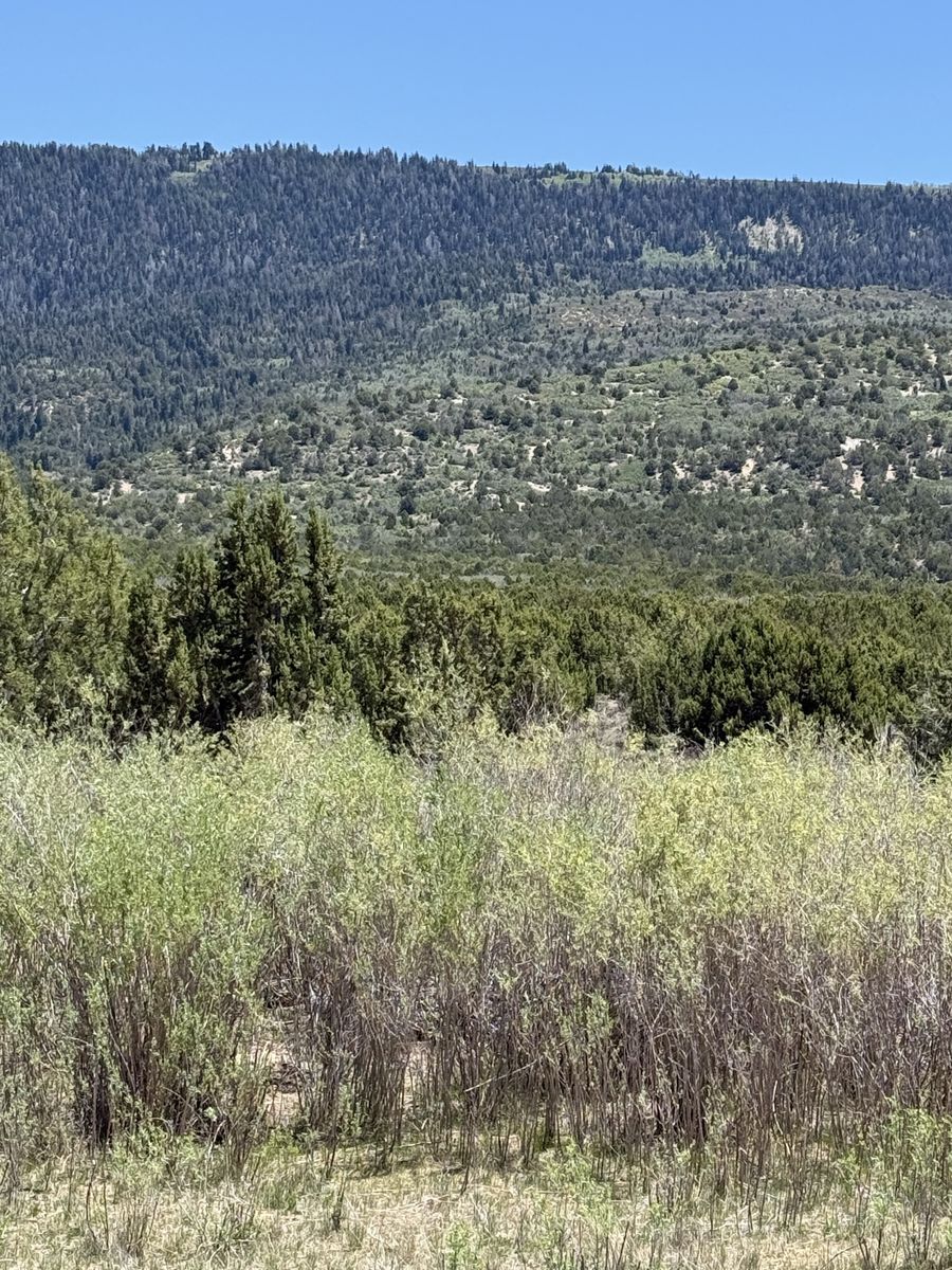 Main image 9