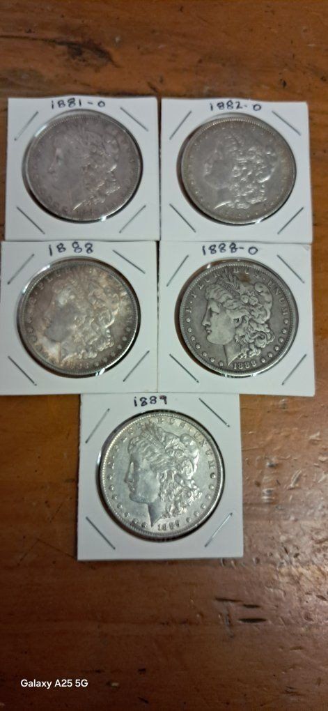 Morgan Silver Dollars