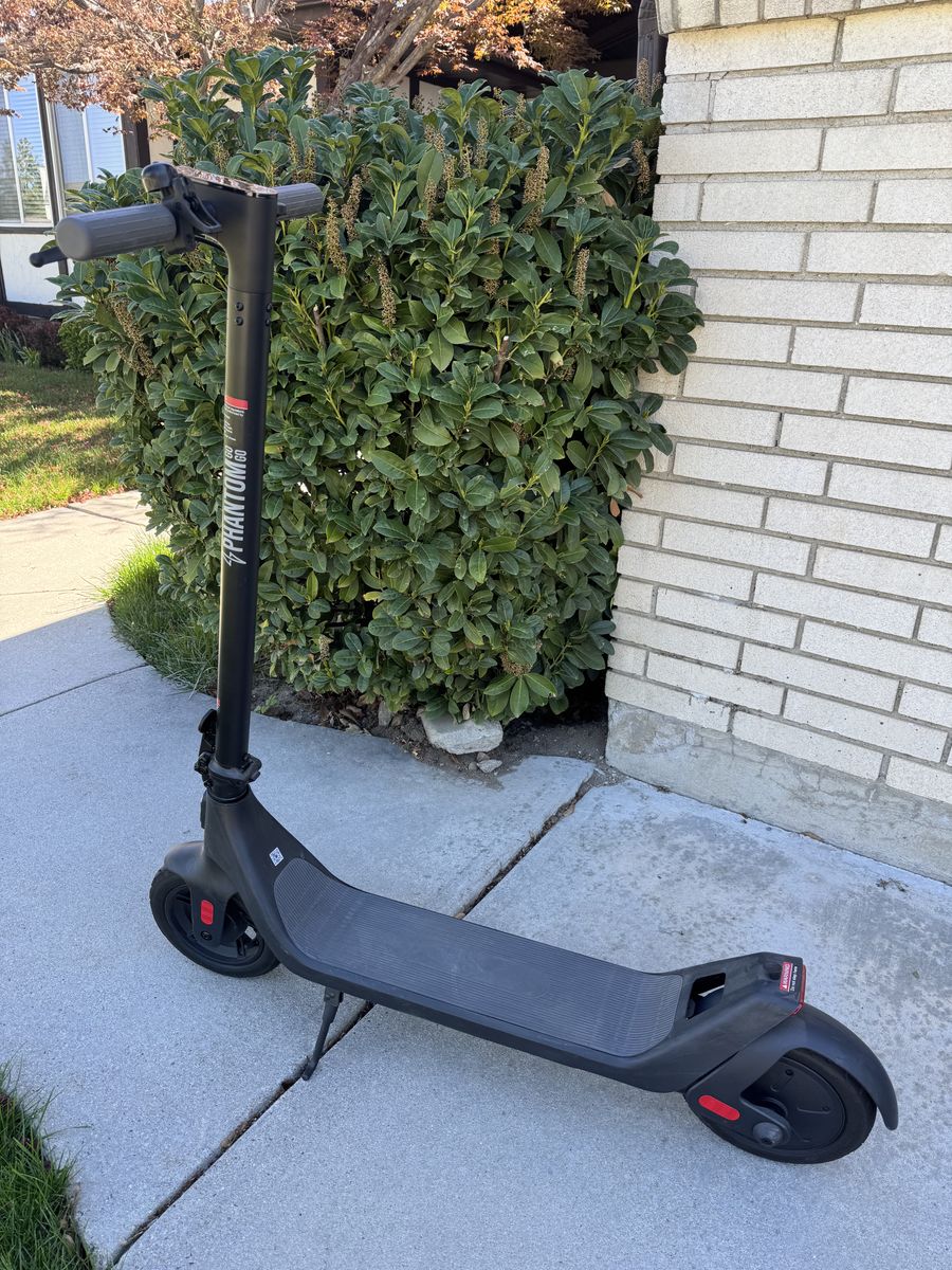 Go go electric scooter