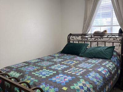 Queen Size Metal Bed Frame, Bronze Sleigh Style by Emma Mason