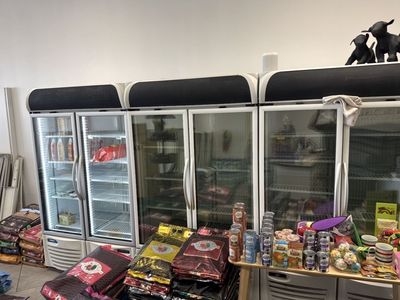 Minus Fourty Commercial Double Glass Door Freezer