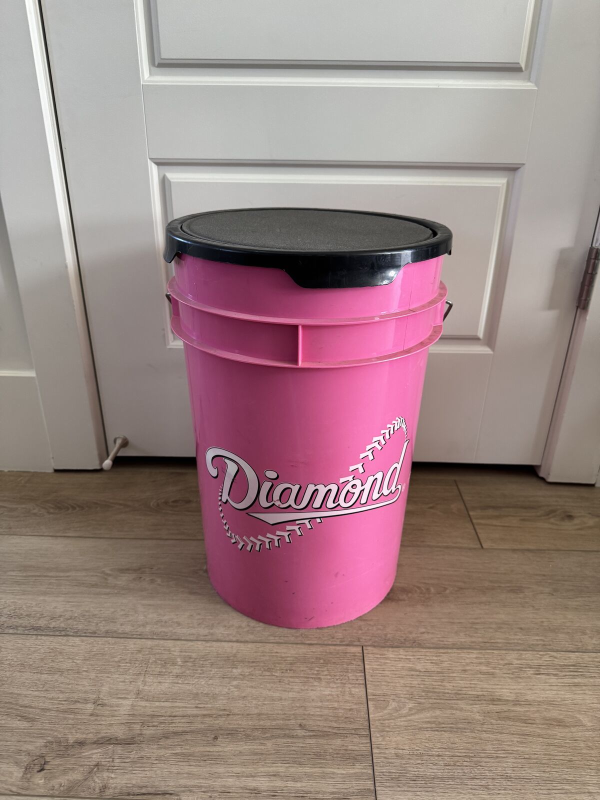 Softball Bucket With 11 Inch Practice Softballs