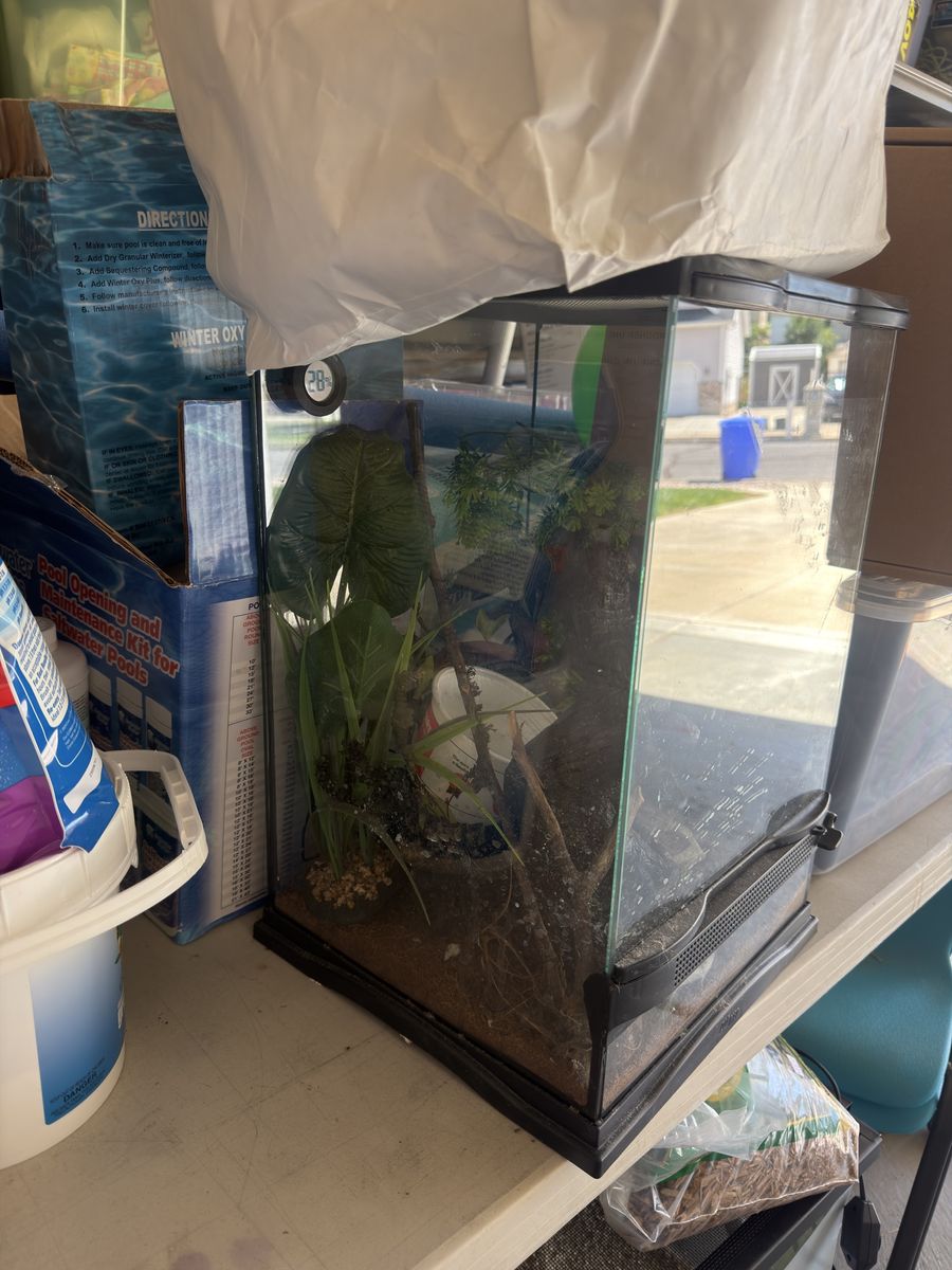 Glass Reptile Terrarium Tank with Decor and Hygrometer
