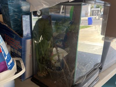 Glass Reptile Terrarium Tank with Decor and Hygrometer