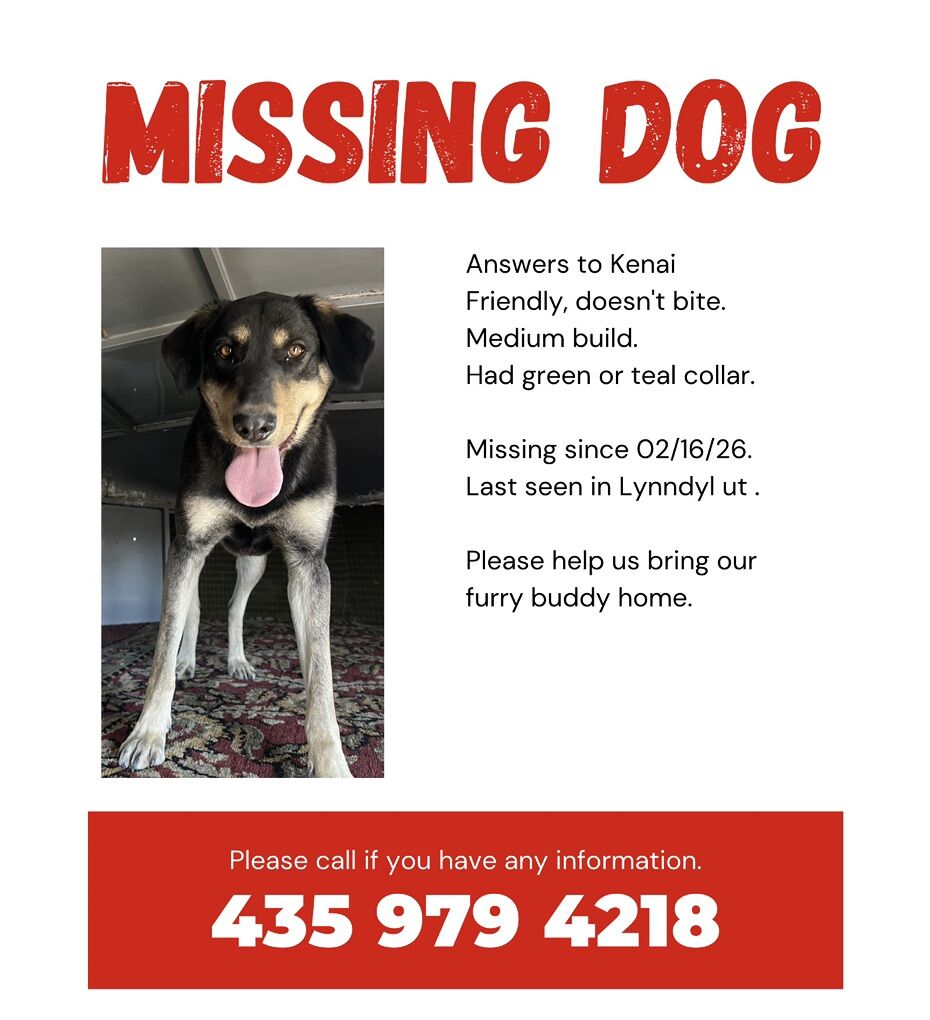 Missing Dog