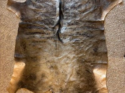 Blue Wildebeest and Blesbok African Hides