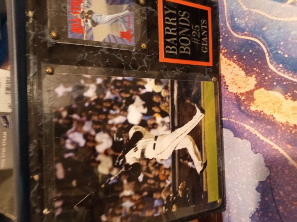 One of A Kind Superstar Barry Bonds $15