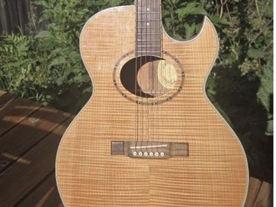 Washburn acoustic guitar