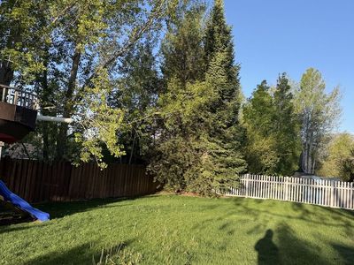 Tree trimming/removal