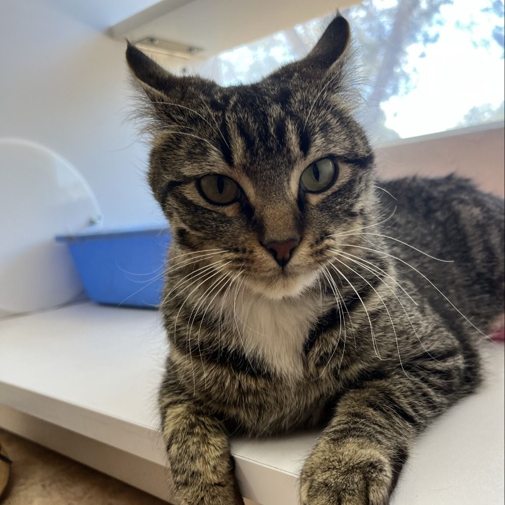 Hello my name is Felicity