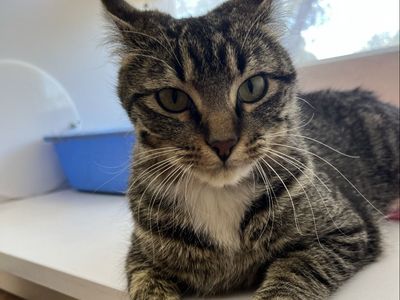 Hello my name is Felicity