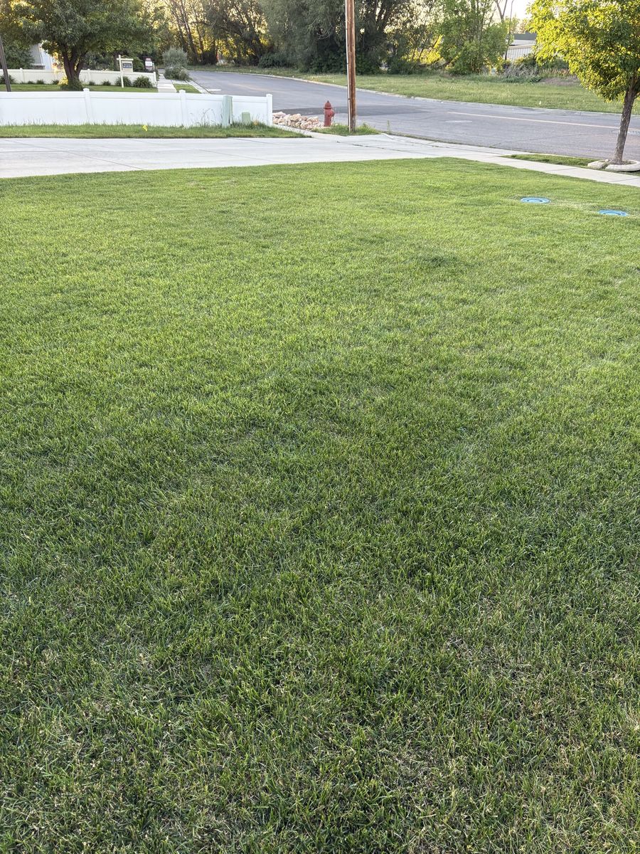 Main image 8