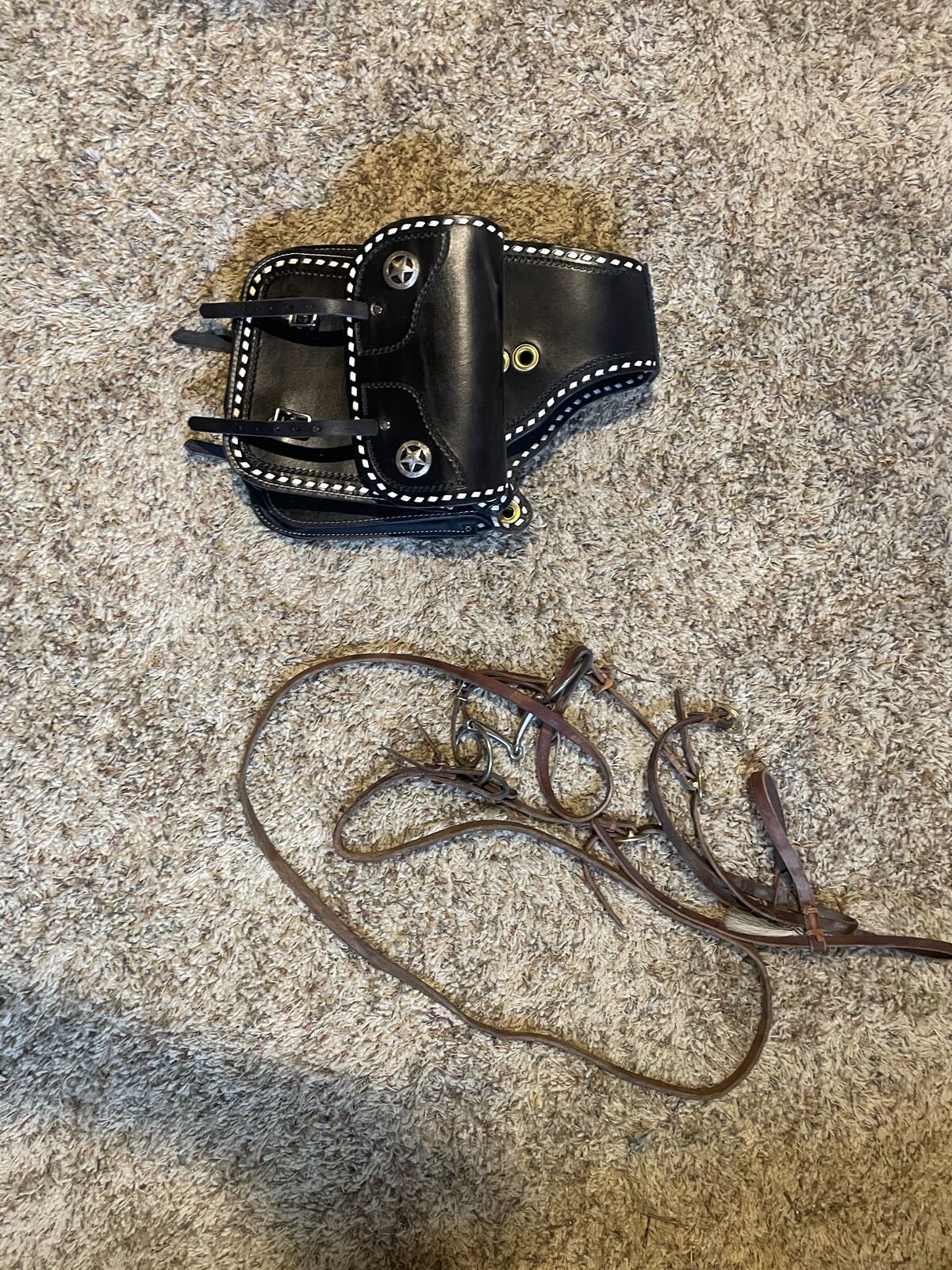 Sattle bags and reigns