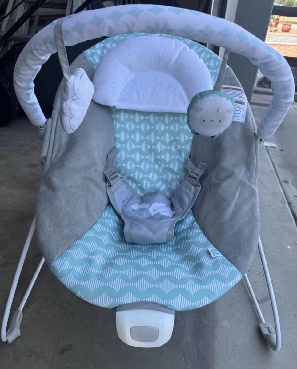 Ingenuity vibrating baby bouncer 