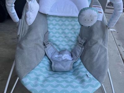 Ingenuity vibrating baby bouncer