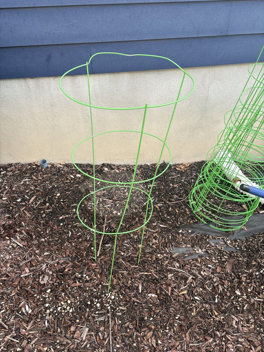 Tomatoe Cages