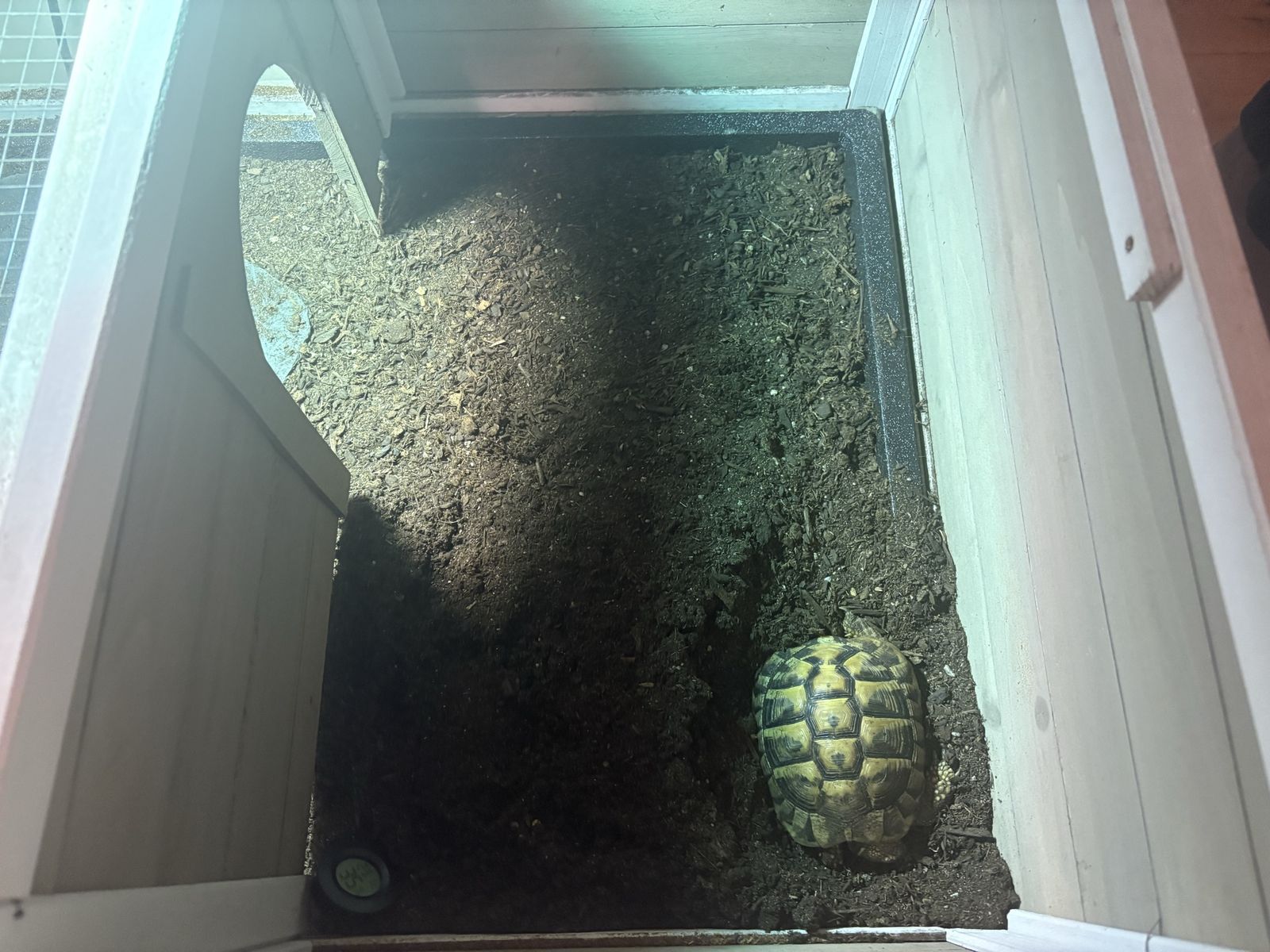 Main image 3