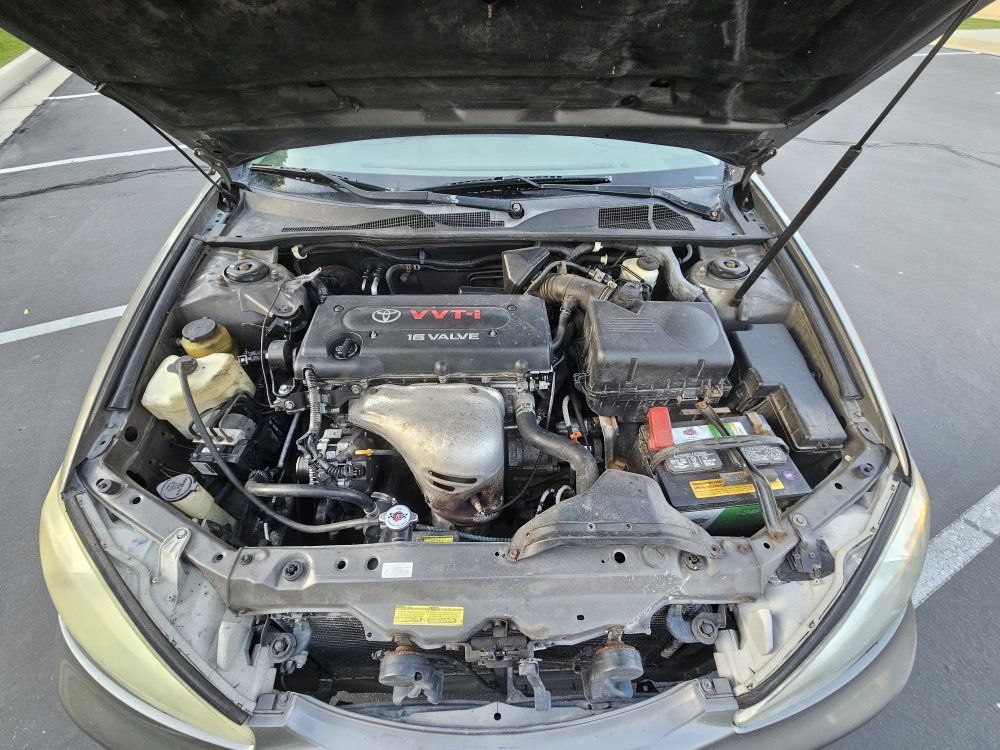Main image 7