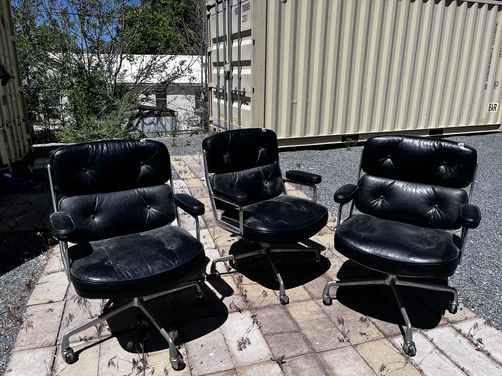 Herman Miller Eames executive chairs