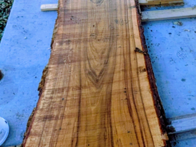 13 ft long 42" wide 3" thick live edge elm wood slab