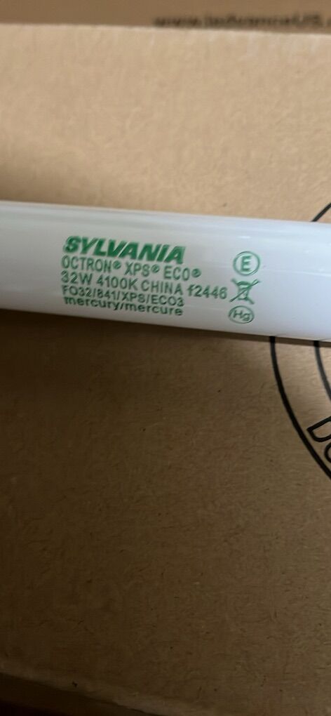 Sylvania Fluorescent Bulb (30)
